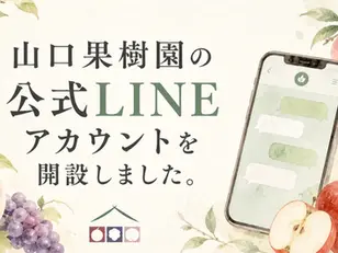 山口果樹園の公式LINEを開設