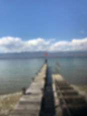 IMG_2336.jpeg