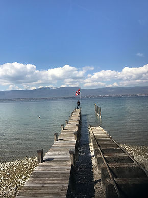 IMG_2336.jpeg