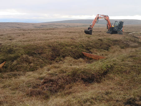 conservation and regeneration