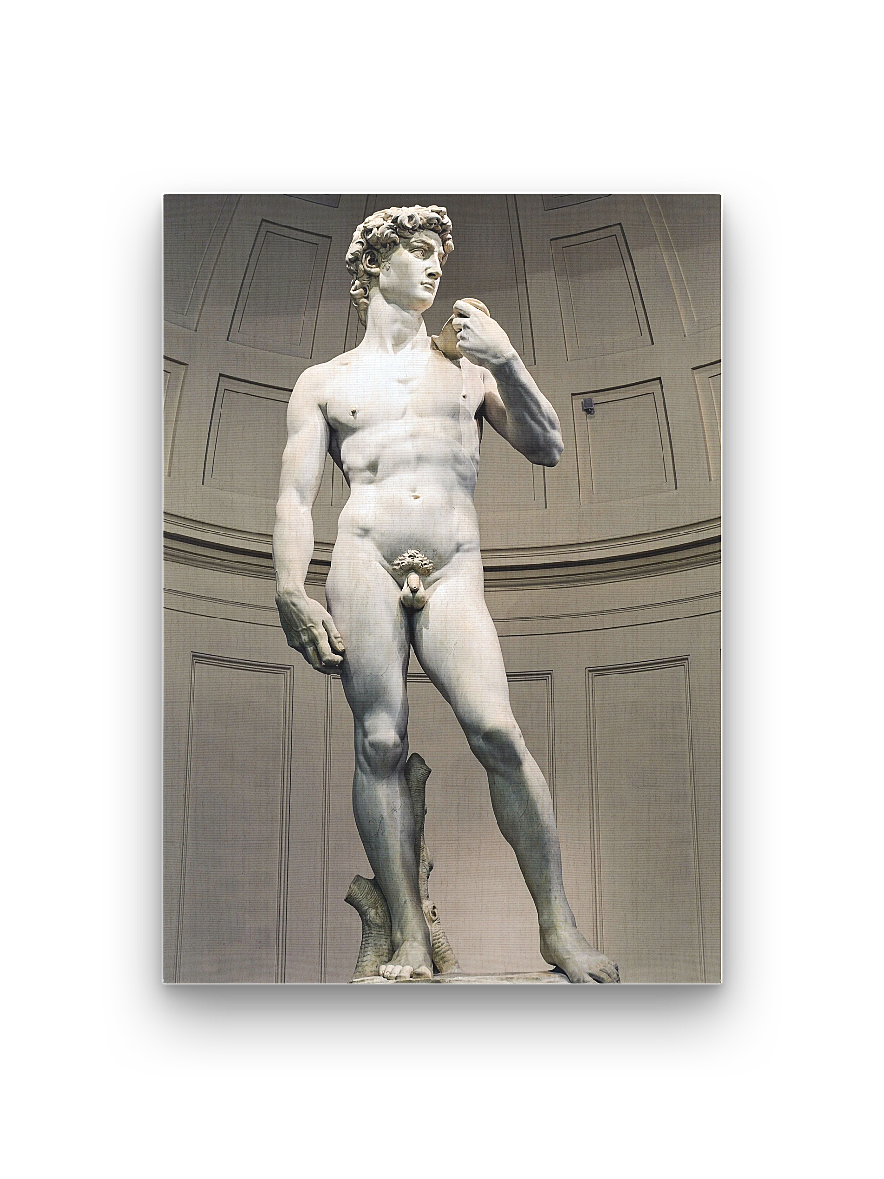 David Canvas Print | Michelangelo