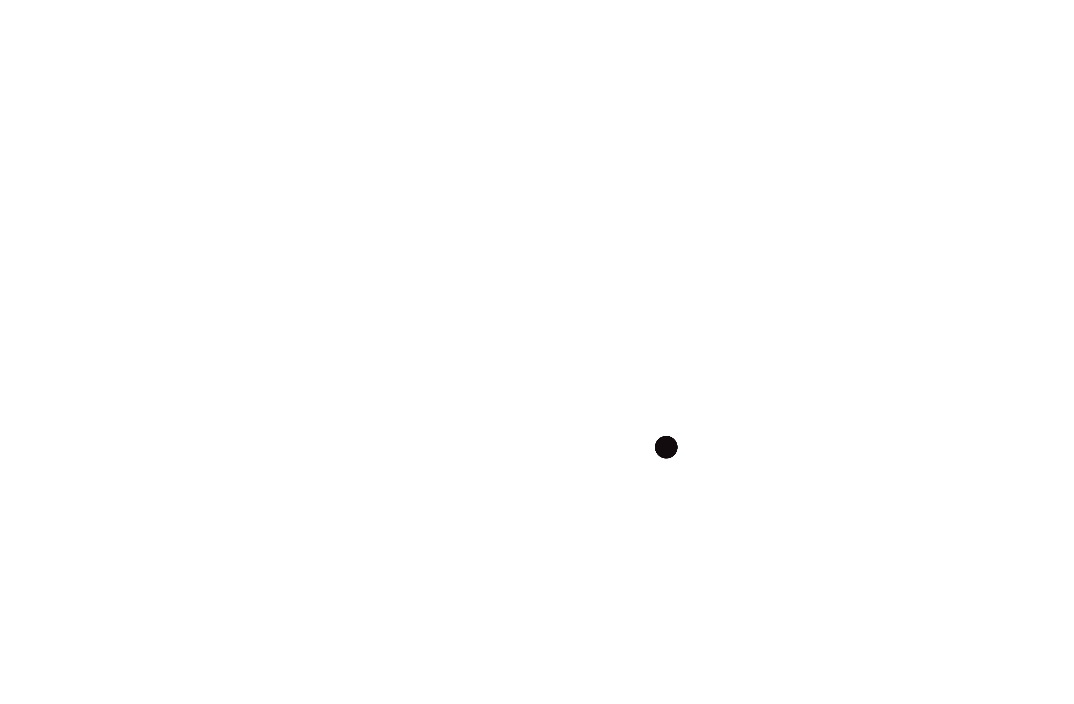 magnify partners beyaz logo.png