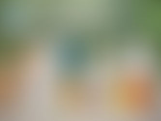 biodegradable carry bags