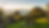 auckland 2.png