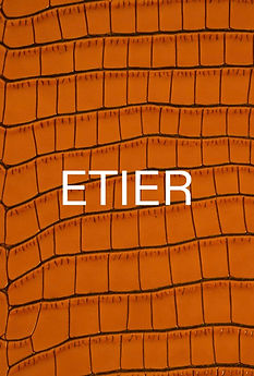 etier (1).jpg