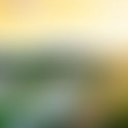 Prazo para pagamento do IPTU 2025 com desconto máximo termina dia 17