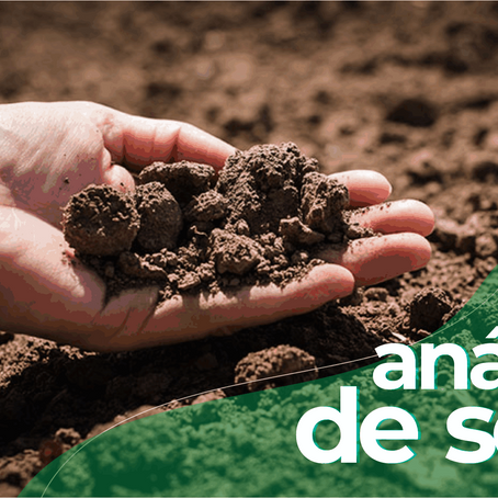 Município custeará 100% das análises de solo