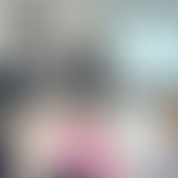 Conselho de Desenvolvimento Rural define beneficiários do programa Terra Forte em Santa Clara do Sul