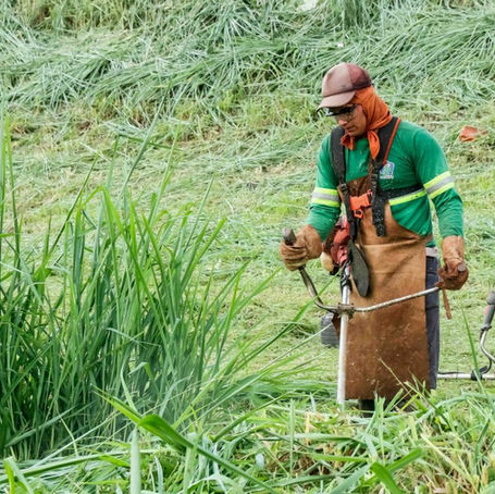 Prefeitura de Santa Clara do Sul reforça necessidade de roçada e limpeza