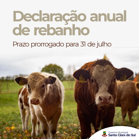 Declaração anual de rebanho pode ser feita até 31 de julho