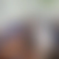 Reunião estabelece diretrizes para o CarnaDjango 2025 em Santa Clara do Sul