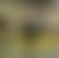 Campeonato Integração G8 de Futsal inicia nova edição