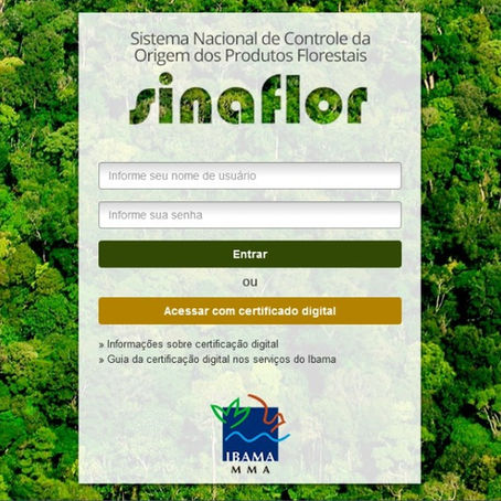 ALVARÁS PARA CORTE DE VEGETAÇÃO DEVEM SER REALIZADOS VIA SISTEMA SINAFLOR