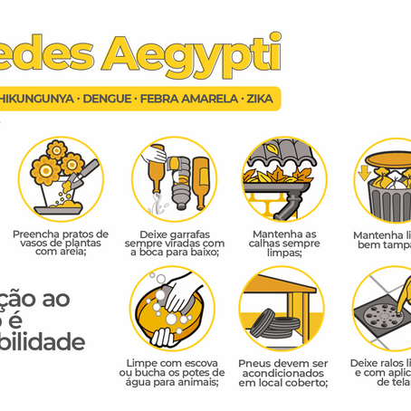 Santa Clara do Sul constata primeiro foco de larva do Aedes aegypti