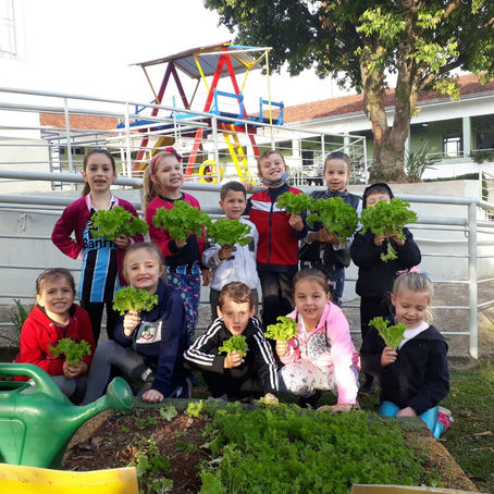 Alunos de Santa Clara do Sul cultivam saúde através de hortas escolares