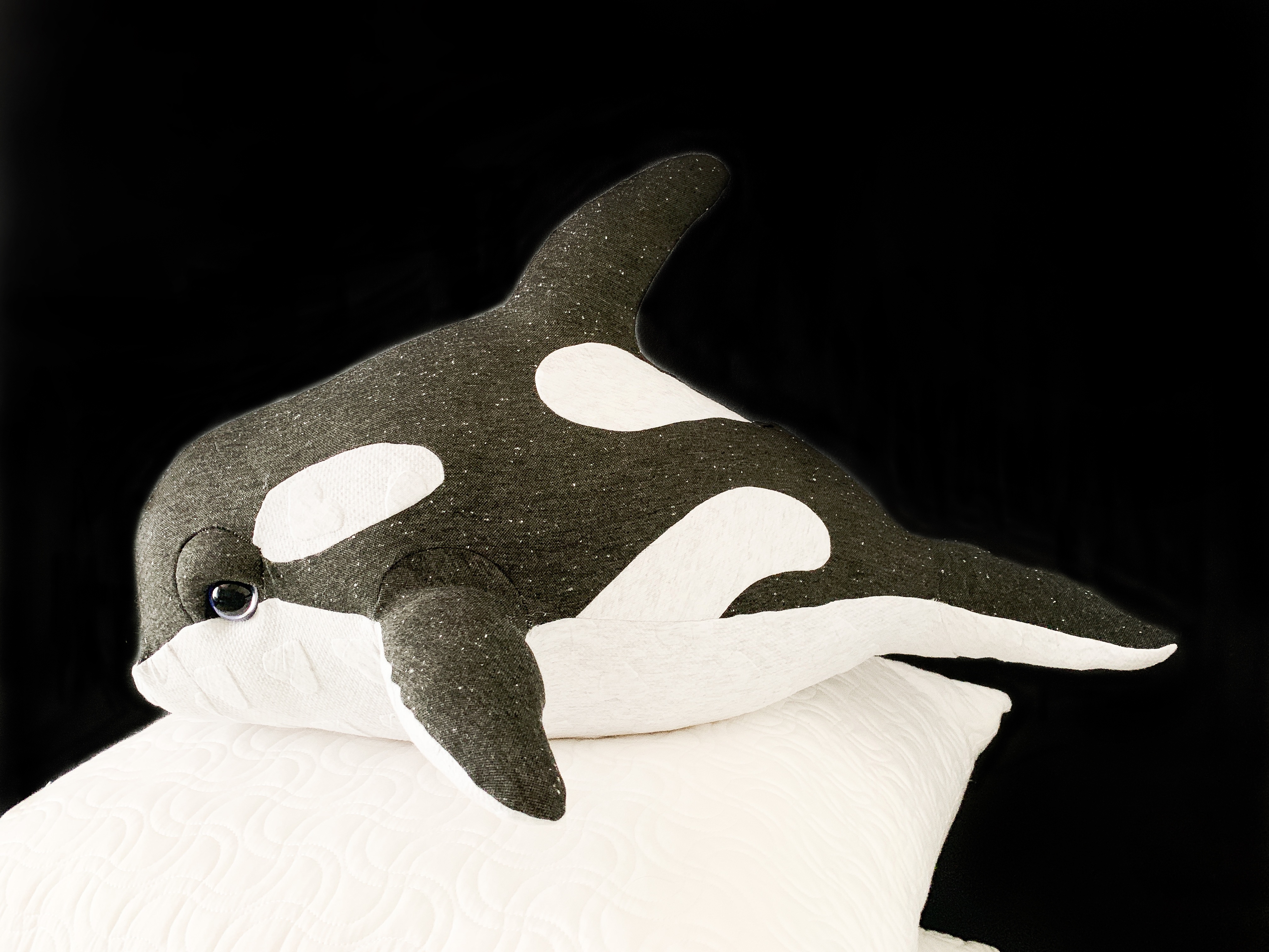 Georgia Baby Orca