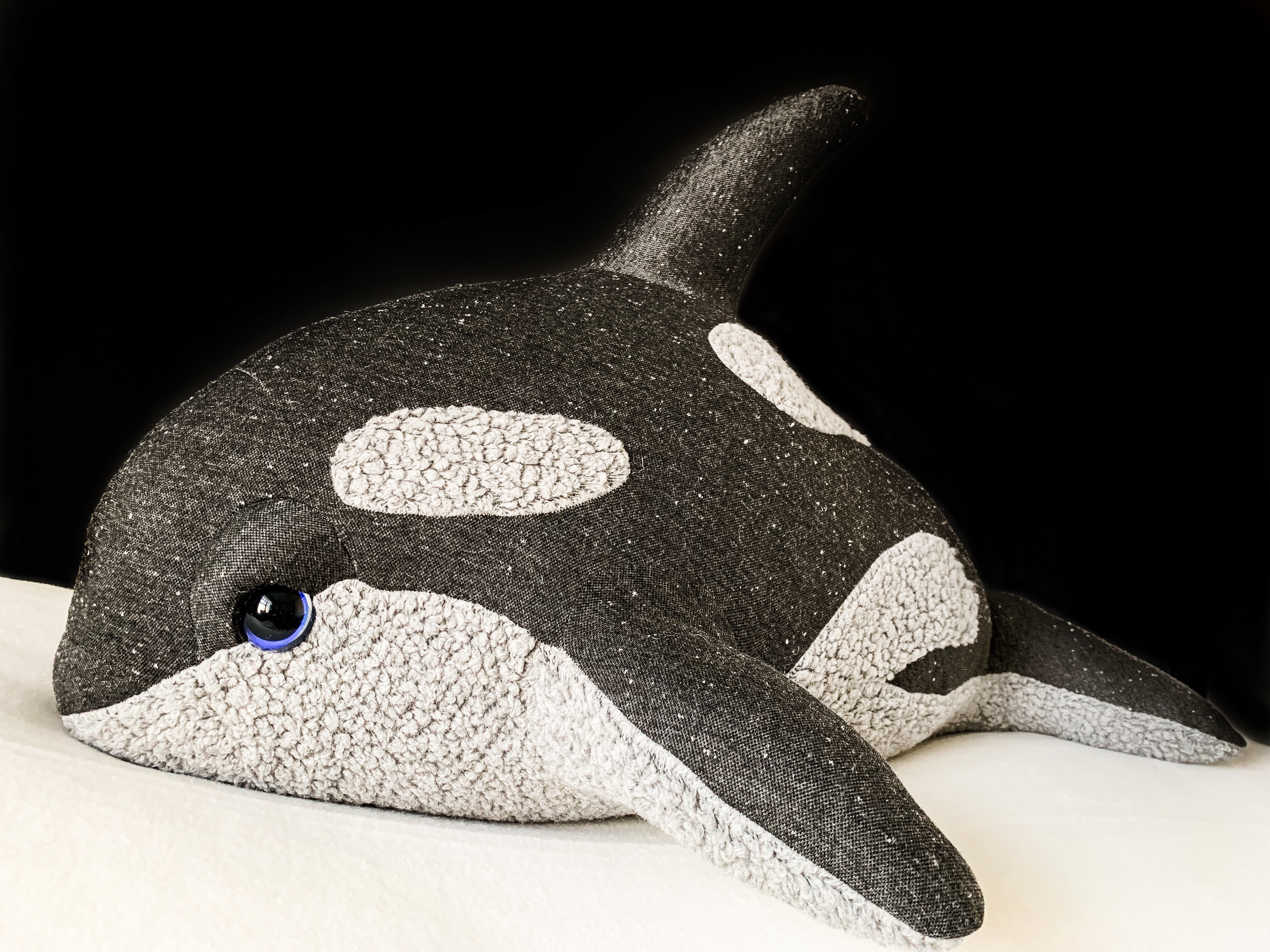 Gray Baby Orca