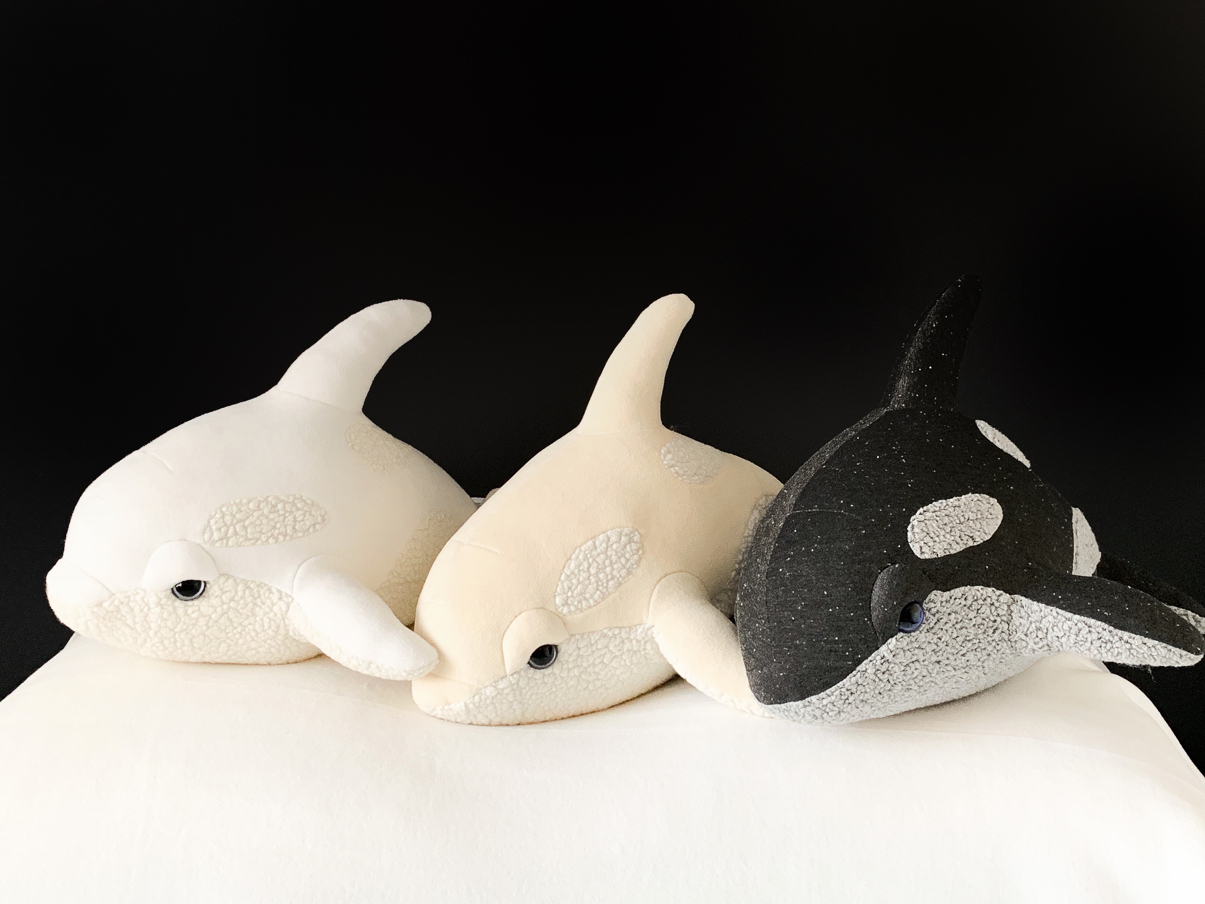 Babies Orca