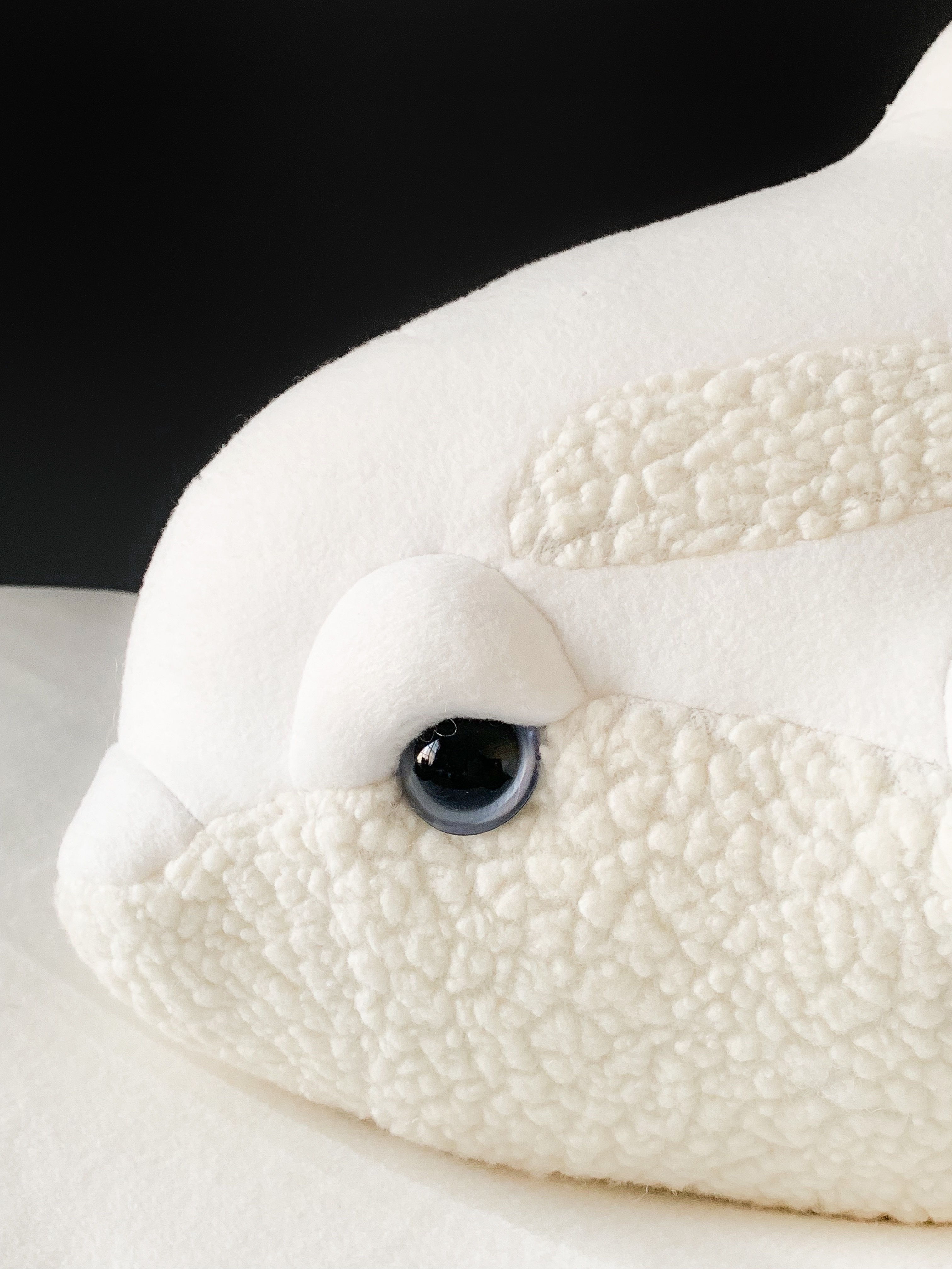 White Baby Orca