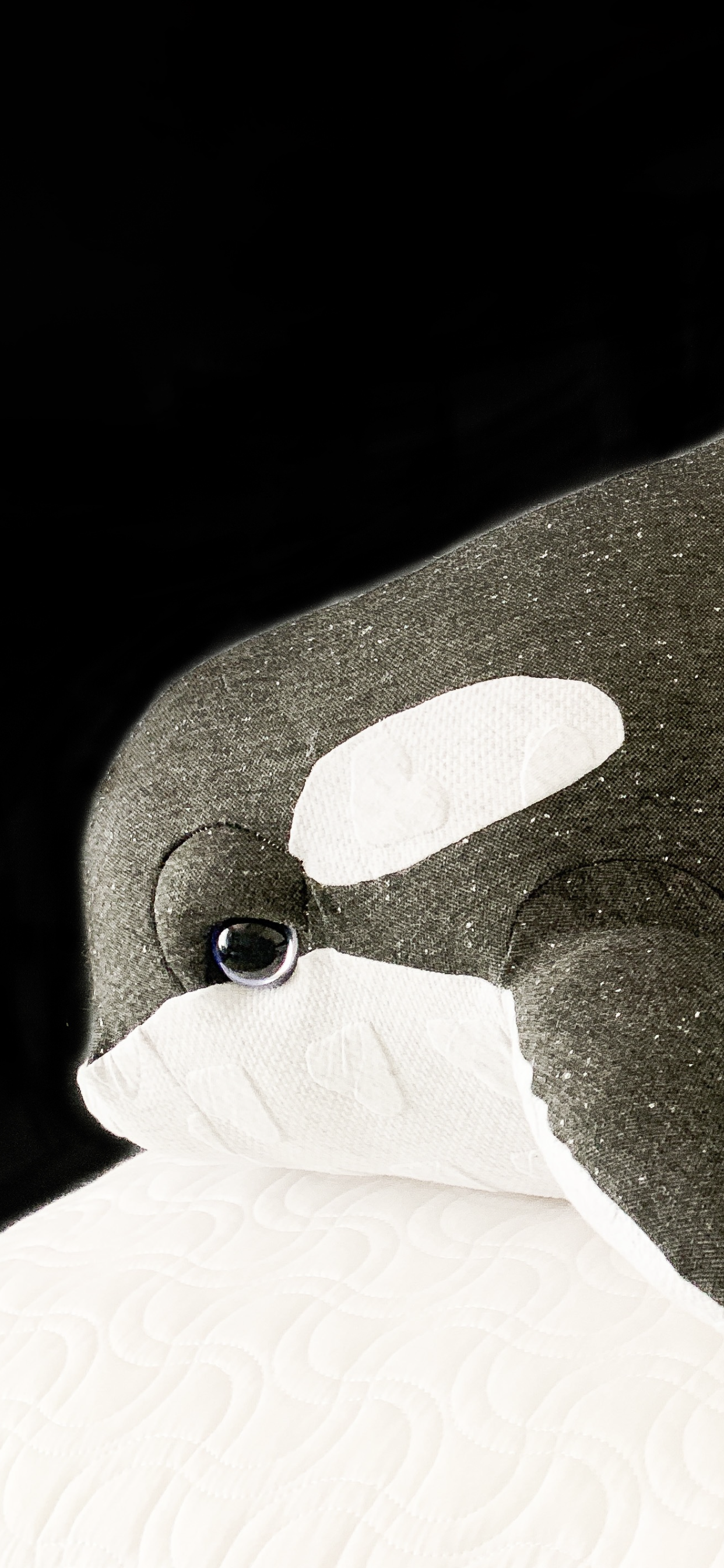 Georgia Baby Orca