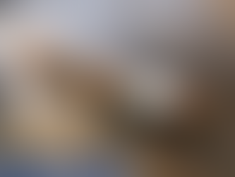 Montecristo Espada Guard