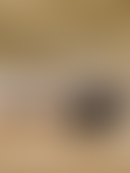 演奏音源公開のお知らせ