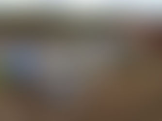 A experiência de estudar agrimensura!