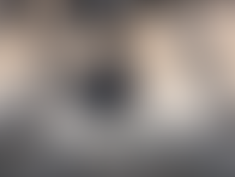 Zenmuse P1: topografia com drones com qualidade máxima.