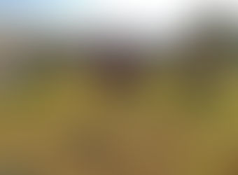 Laser Scanner: o que é e principais vantagens