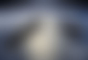 Sensoriamento Remoto: investigação no desastre ambiental do litoral nordestino