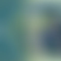 【原神】スメール（v3.0）感想