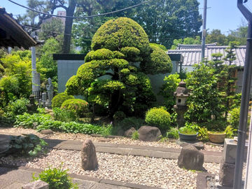幸せ2日間🇹🇭東京
