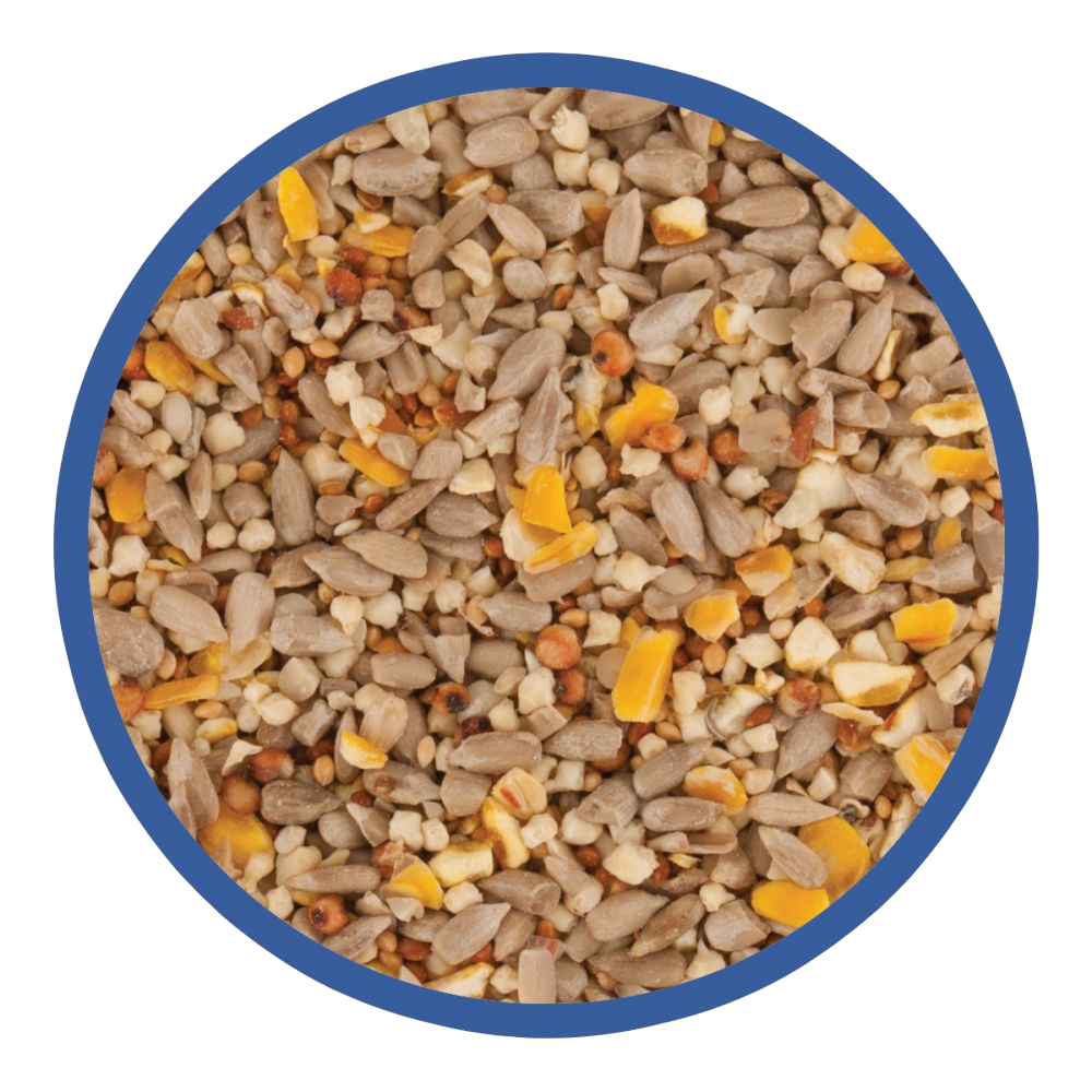 Henry Bell Energy No Mess 1.4kg