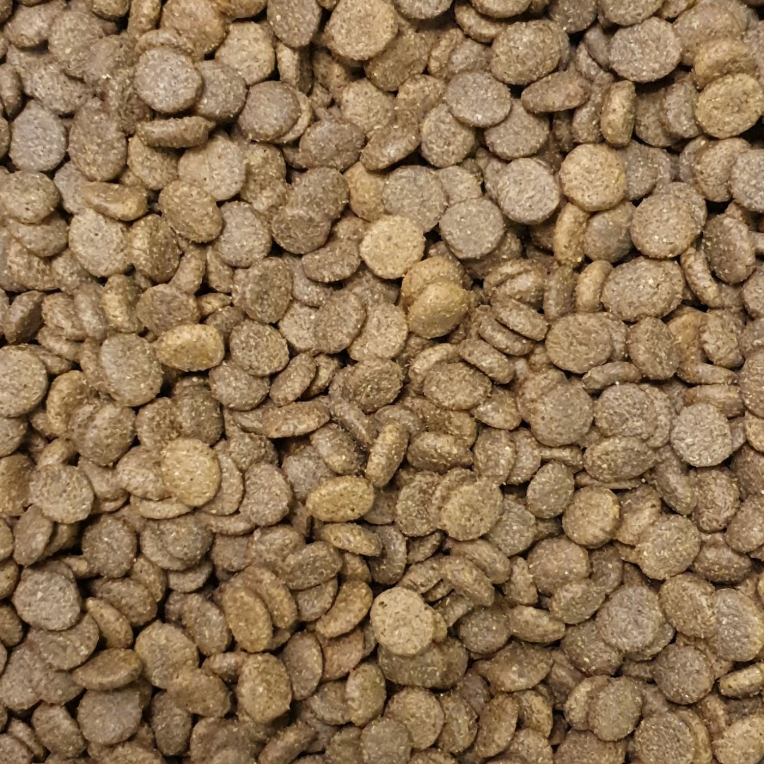 Grain Free 50% Turkey, Sweet Potato & Cranberry