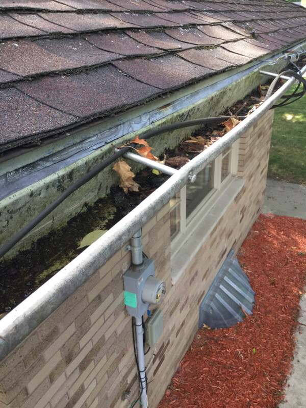 These Gutters are a Pain Nail and Ferrul