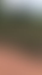 Woche zwei: Blog Vier: 19.06.17 für Montag: "Gerüche" [3]