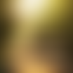 Rural Resiliency: Say Their Names. Change the Ending.