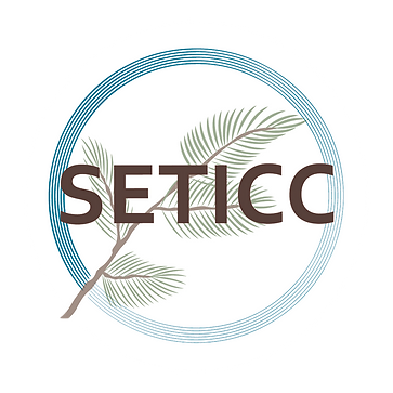 SETICC Circle png.webp