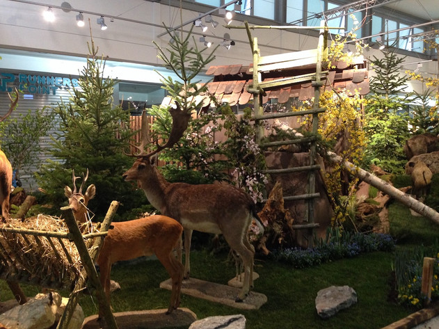 wald-ausstellung.jpeg