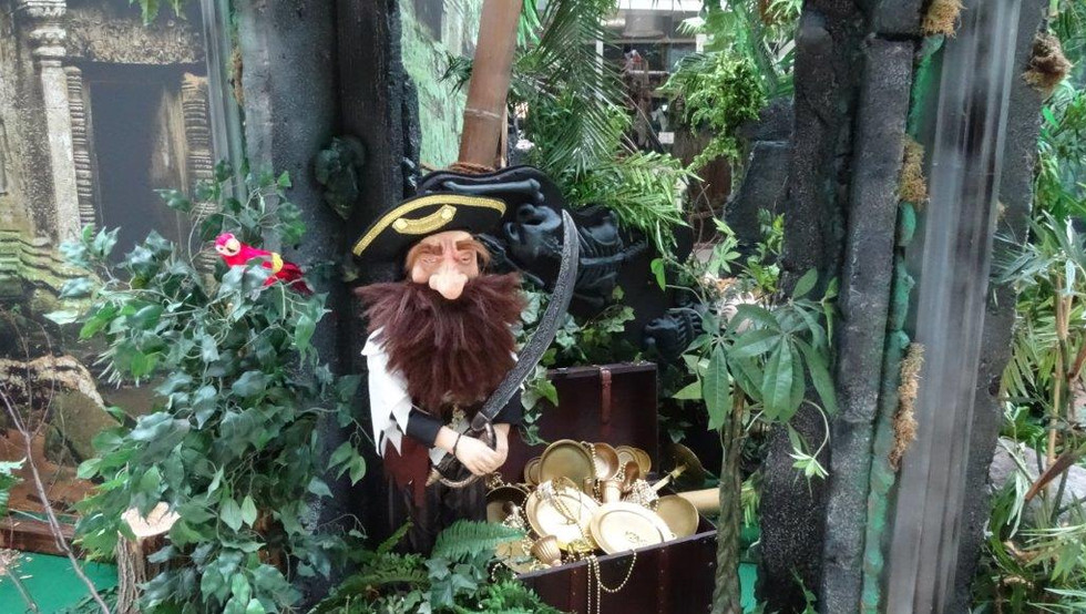 piraten-capitain.jpg