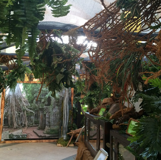 dekoration-reptilien-shoppingcenter.jpeg