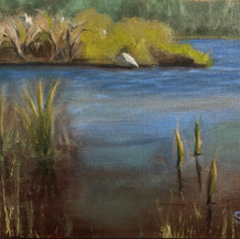 The Rookery | Oil | 14 x 17