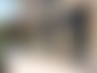 Calling All Artists for Foster Gallery 2020 Winter Rotation