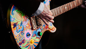 Guitar