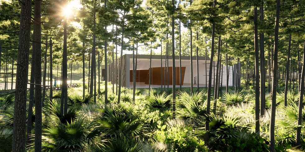 The St. Joe Company Announces the Longleaf Art Park at the Watersound Origins Community