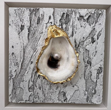 Oyster Mini White 1 | Mixed Media | 6" x 6"