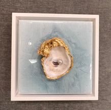 Oyster Mini Blue | Mixed Media | 8" x 8"