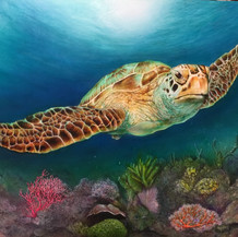Sea Turtle II | Airbrush Acrylic | 18 x 24