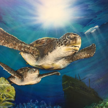 Sea Turtle III | Airbrush Acrylic | 18 x 24