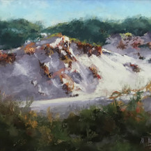 Dunes of Watersound | Pastel | 9 x 12